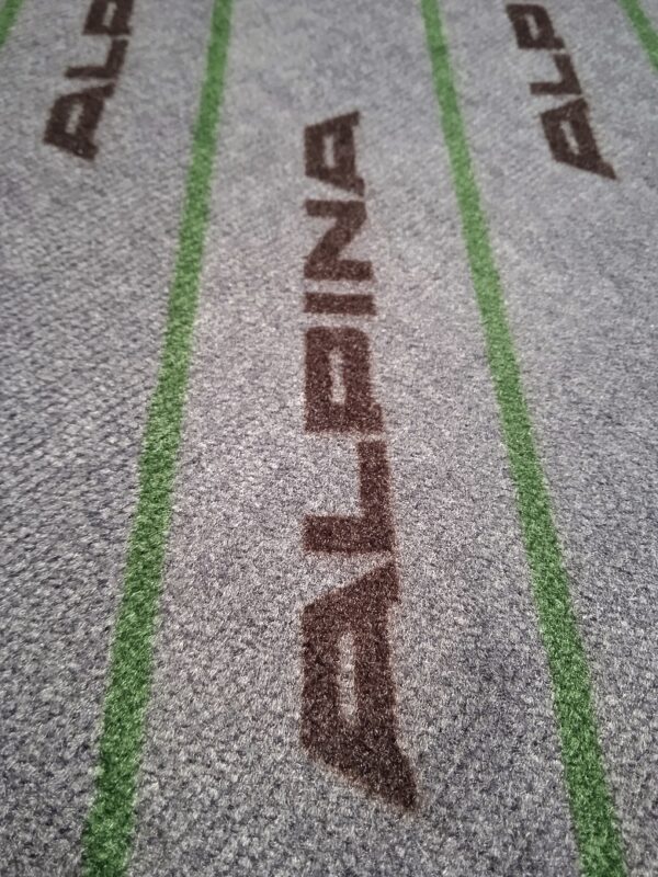 IMG_20250311_153759x